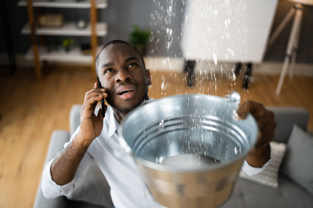Best Carpet water damage restoration  in Flossmoor, IL