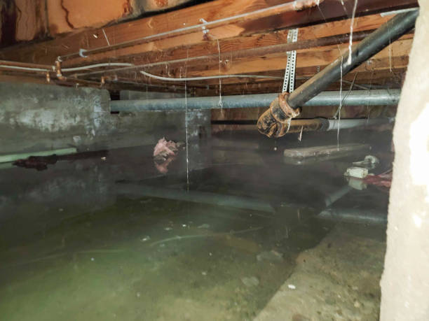  Flossmoor, IL Water damage restoration Pros