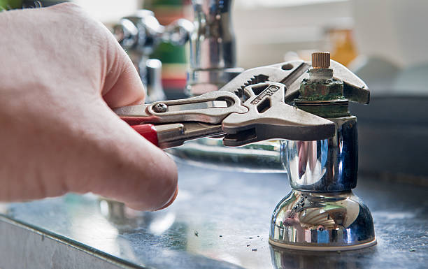 Best Flood restoration services  in Flossmoor, IL