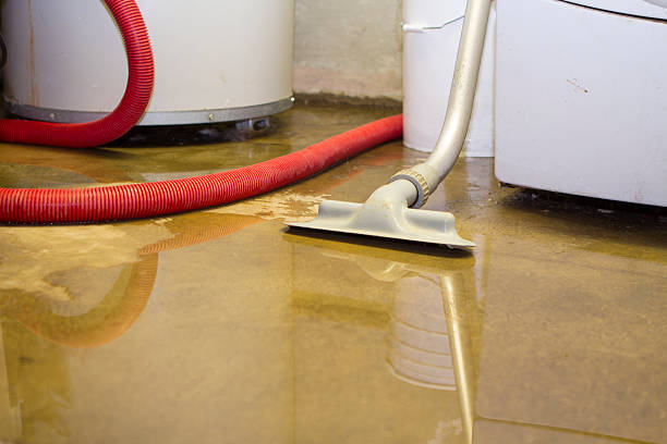Best Water damage restoration near me  in Flossmoor, IL