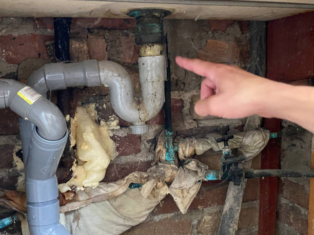  Flossmoor, IL Water damage restoration Pros