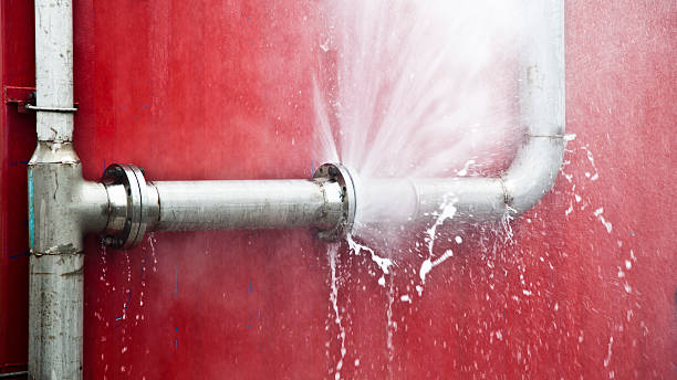 Best Ceiling water damage repair  in Flossmoor, IL