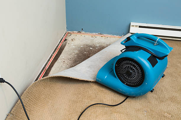 Best 24-hour water damage restoration  in Flossmoor, IL